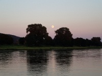 DSCN0489