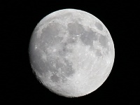IMG 0339