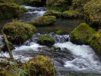 20141003-IMG 7235 : 2014, Hrensko, Prebischtor, Tschechien