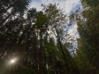 20141003-IMG 7262 : 2014, Hrensko, Prebischtor, Tschechien