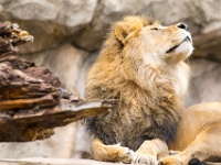 20140712-IMG 5949 : 2014, Dresden, Zoo