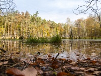 Fotoworkshop Naturfotografie Müritz  Fotoworkshop Naturfotografie Müritz : Kraniche, Müritz, Workshop