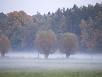20131020-IMG 2550