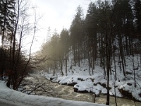 DSCN0769