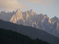 P1020446